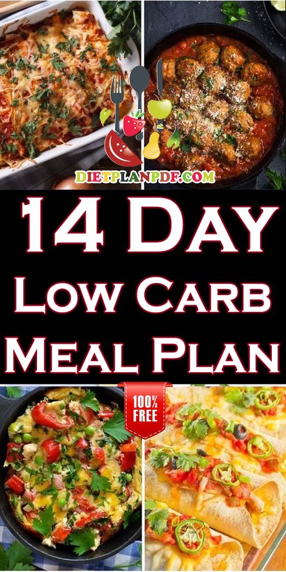 Free 14 Day 2 Week Low Carb Diet Weight Loss Meal Plan PDF Diet Plan PDF