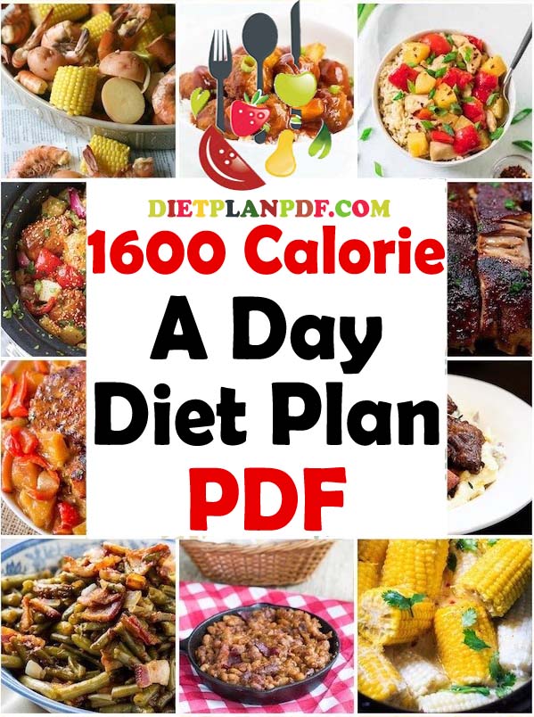 1600 Calories A Day Diet Meal Plan PDF